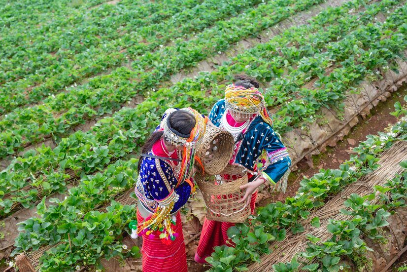 Hom Growing Vegetables in hindi