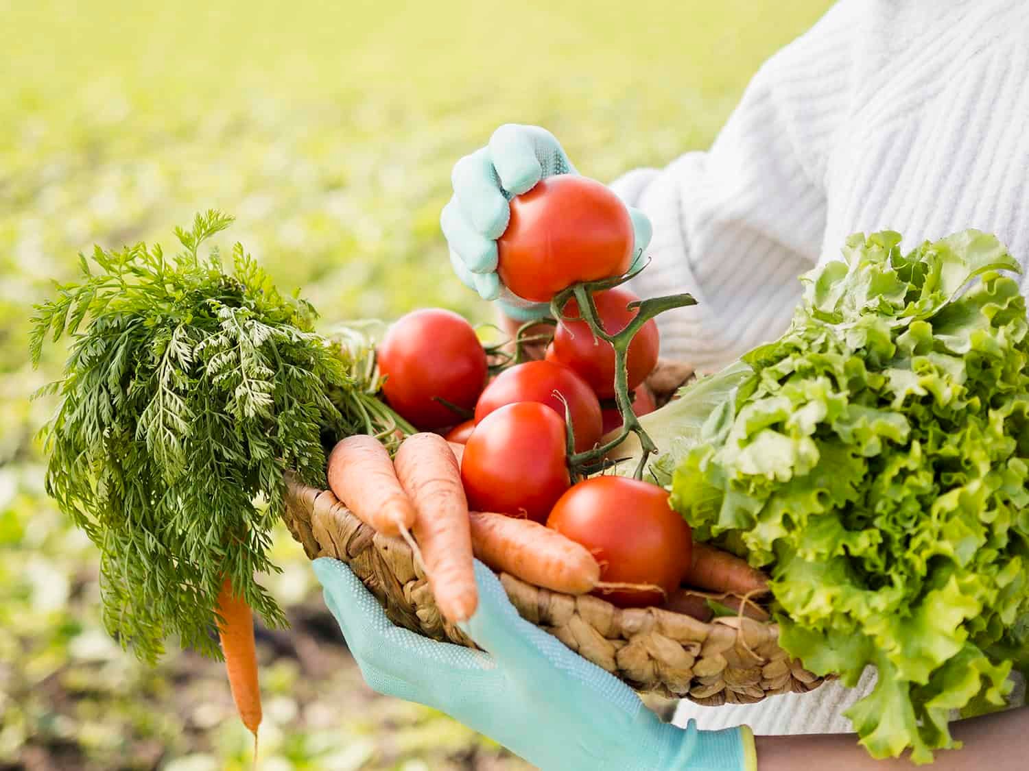 woman holding basket full vegetables close up 1